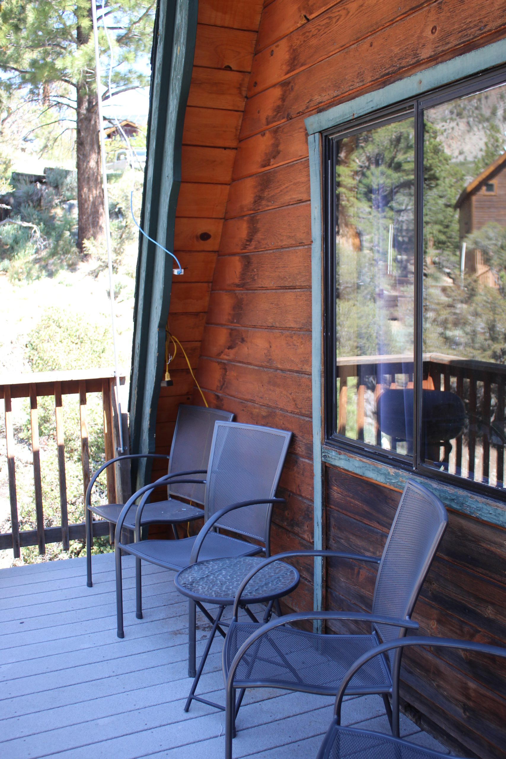 Bluebird Outside Patio
