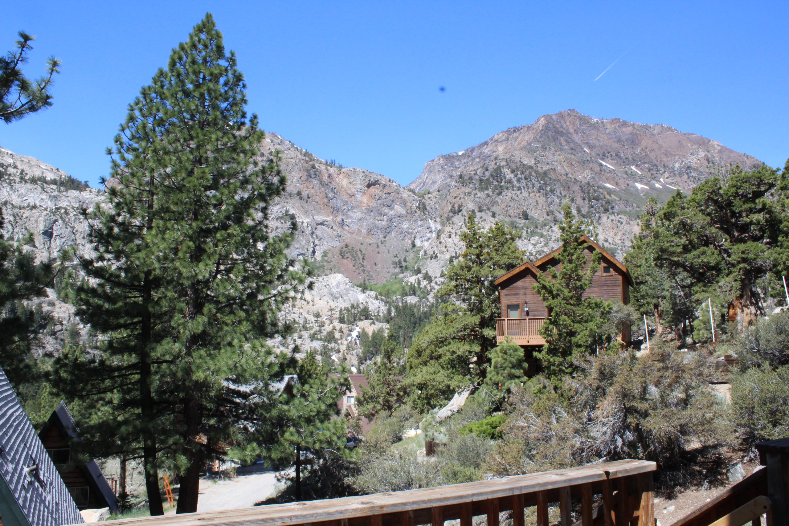Bluebird Patio View